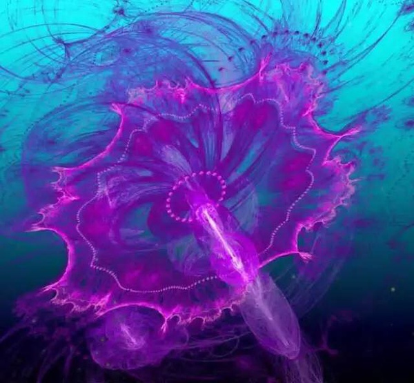 ˮĸͺˮһ